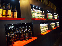 Bacardi Rum tour