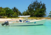 barbados excursions