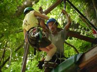 Getting ready to repel from the canopy platform 