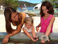 St Thomas Island tour beach