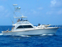 Cozumel Private Charters