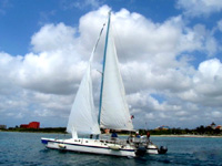 Cozumel Catamaran Snorkel