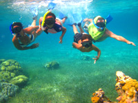 Cozumel Private Snorkeling Tour