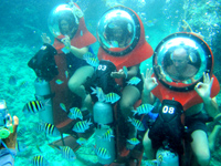 Cozumel submarine tours