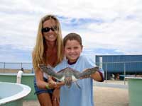 cayman turtle farm on the hell turtle farm island tour