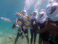 Helmet Diving Puerto Rico