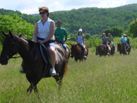 Riding Horses to the beach in Jamaica