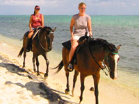 barbados excursions