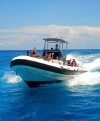 Playa Del Carmen Snorkeling Tours and Ocean Adventures