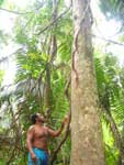 The Nature encountered at the beginning of the Cave Tubing Excursion is superb