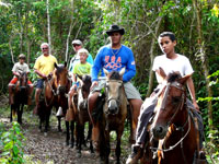 Roatan Snorkeling Excursions