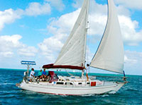 Stingray City Sailing and Snorkeling