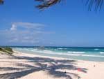 Exploring a Secluded Beachin Tulum