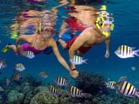 freeport snorkeling