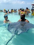 stingray city grand cayman at the sandbar