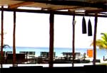 beach bar in cozumel