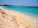 Beach Horseback riding from Cozumel in Playa Del Carmen