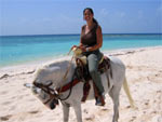 Playa Del Carmen Beach Horseback Riding Tour
