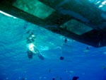 The Glass Bottom boat tour