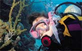 Diving on the reef in Cozumel