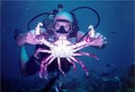 Our Diving Instructor for Cozumel Resort courses