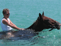 riding your horse in the sea, going for a swim in Jamaica