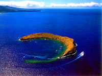 Maui Molokini Snorkeling Excursion