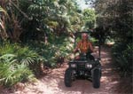 Jungle ATV tours in Cozumel