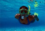 cozumel snorkeling