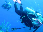 Grand Cayman Islands scuba diving on the Wall